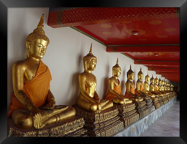 Seated Buddhas in Bangkok Framed Print by Sarah Bonnot