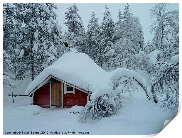 Hiker's Hut in Lapland Print by Sarah Bonnot