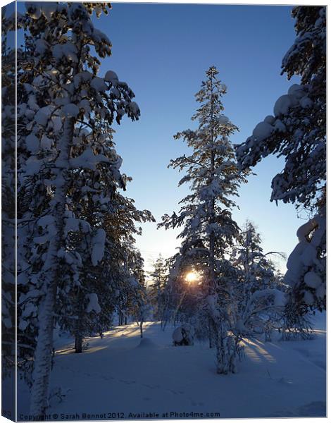 Winter sun in Lapland Canvas Print by Sarah Bonnot