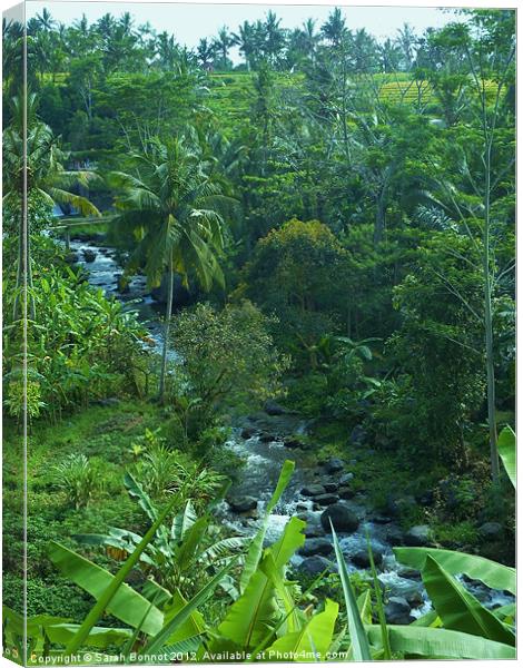 Bali Jungle River Canvas Print by Sarah Bonnot