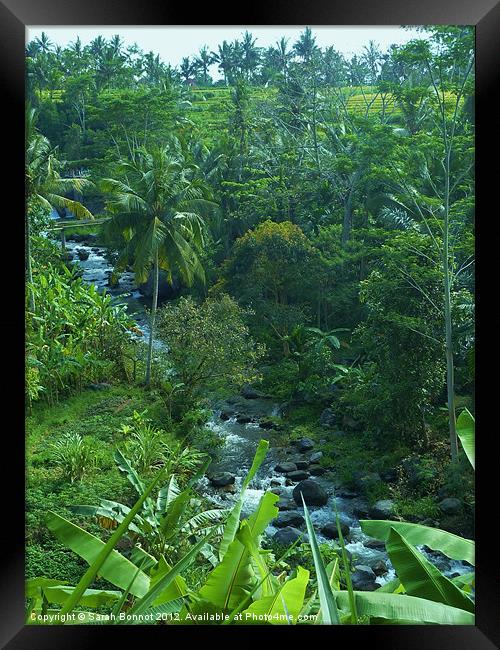 Bali Jungle River Framed Print by Sarah Bonnot