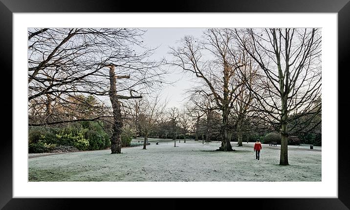 Frosty morning walk Framed Mounted Print by Vinicios de Moura