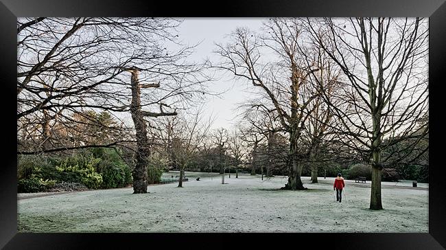 Frosty morning walk Framed Print by Vinicios de Moura