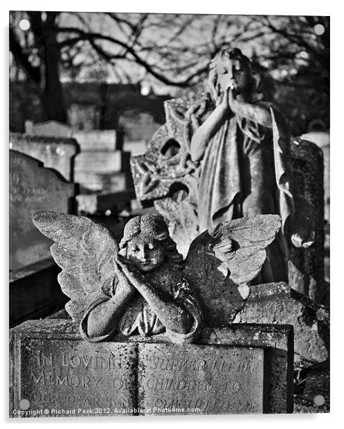 Fallen Angel Acrylic by Richard Peck