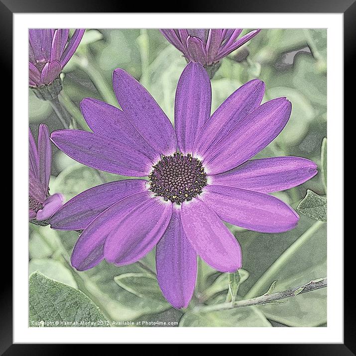 Senetti Deep Blue Framed Mounted Print by Hannah Morley