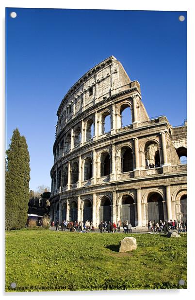 Roman Colosseum Acrylic by Matthew Bates