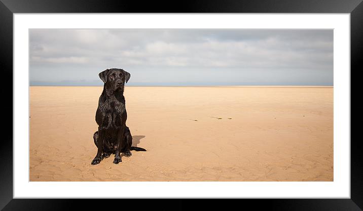 Sitting Pretty Framed Mounted Print by Simon Wrigglesworth