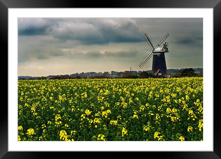 Burnham Overy Staithe WindMill Framed Mounted Print by Stephen Mole