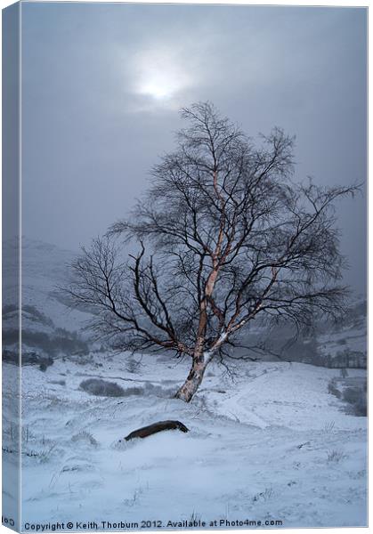 Winter Scene Canvas Print by Keith Thorburn EFIAP/b