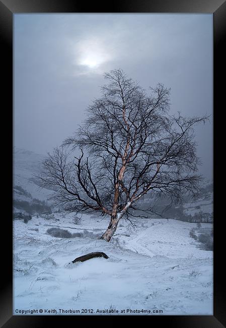 Winter Scene Framed Print by Keith Thorburn EFIAP/b
