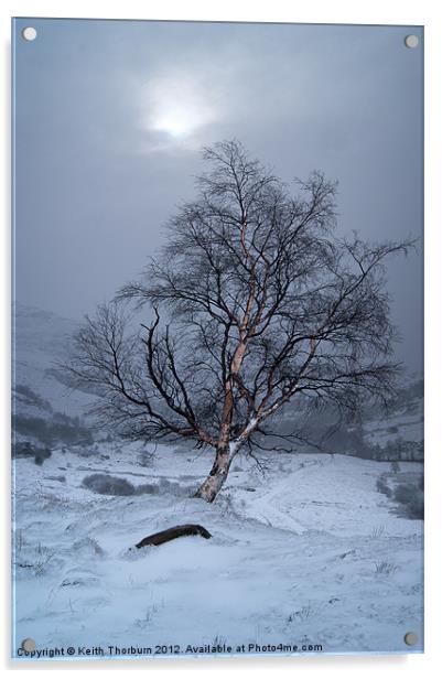Winter Scene Acrylic by Keith Thorburn EFIAP/b