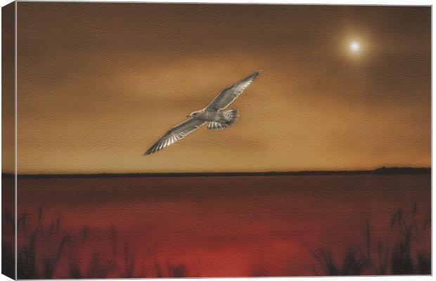FLIGHT OF THE GULL Canvas Print by Tom York