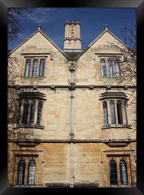 Christ Church College Oxford Framed Print by Terri Waters