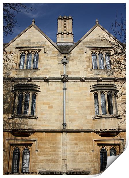 Christ Church College Oxford Print by Terri Waters