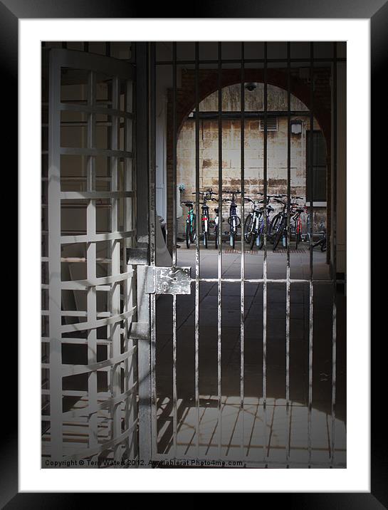 Banged up Bicycles in Oxford Framed Mounted Print by Terri Waters