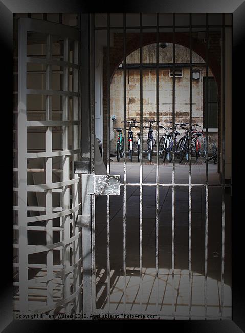 Banged up Bicycles in Oxford Framed Print by Terri Waters