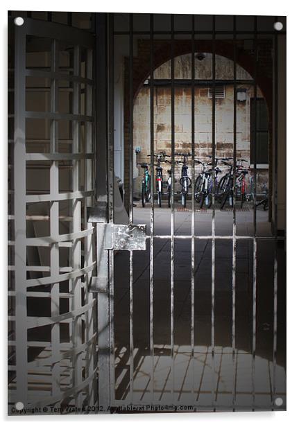 Banged up Bicycles in Oxford Acrylic by Terri Waters