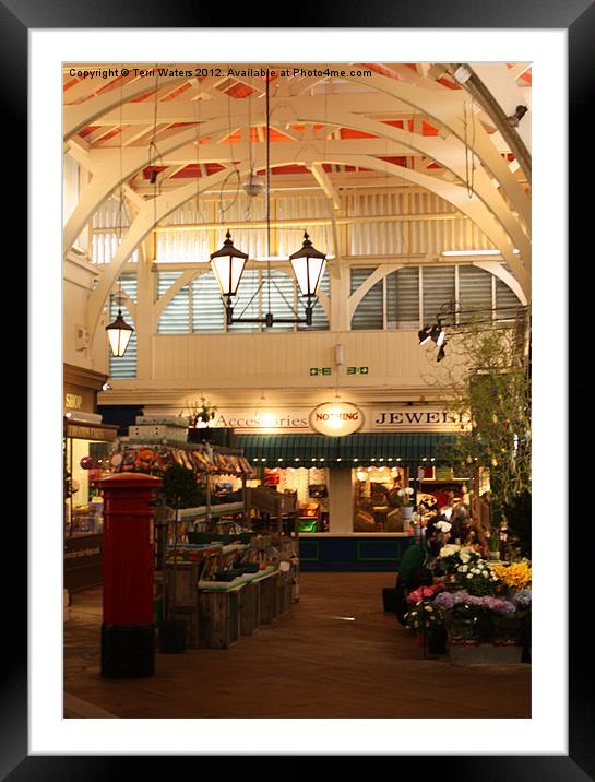 The Covered Market, Oxford Framed Mounted Print by Terri Waters