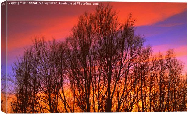 Sunset Silhouette Canvas Print by Hannah Morley