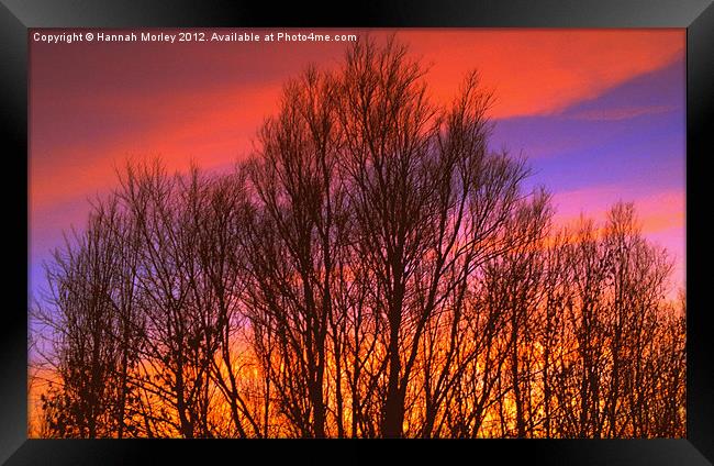 Sunset Silhouette Framed Print by Hannah Morley