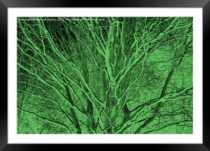 Crazy Green Tree Framed Mounted Print by Hannah Morley