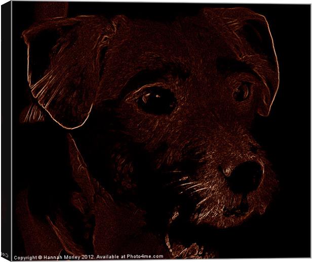 Patterdale Terrier Dog Canvas Print by Hannah Morley