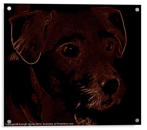 Patterdale Terrier Dog Acrylic by Hannah Morley