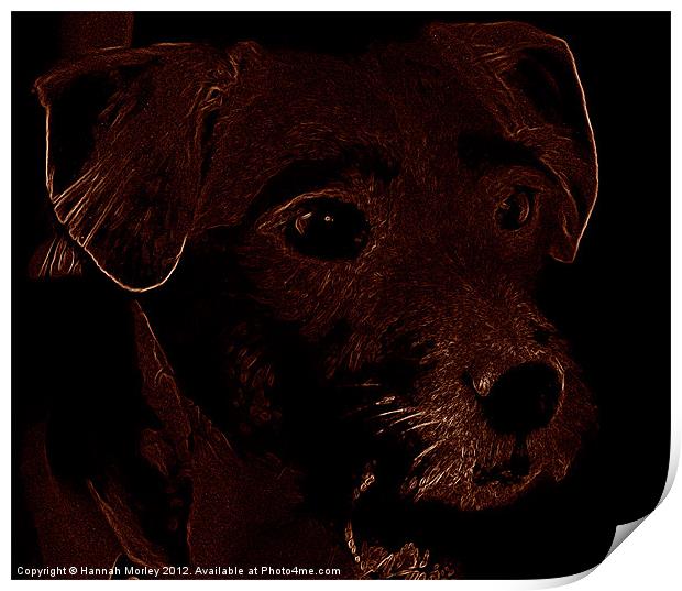 Patterdale Terrier Dog Print by Hannah Morley