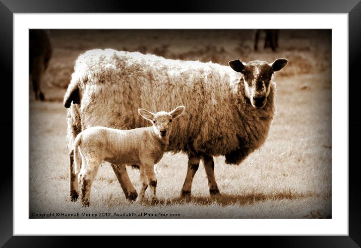 Mother & Baby Framed Mounted Print by Hannah Morley