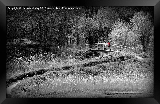 Lonely Bridge Framed Print by Hannah Morley
