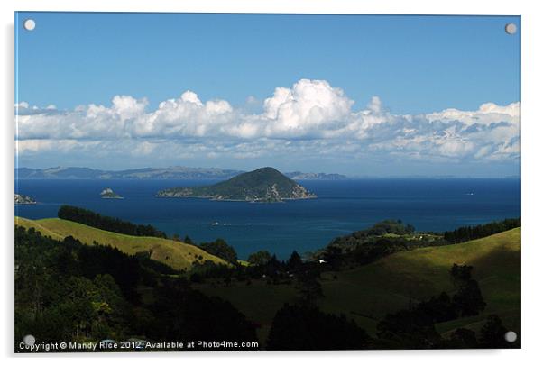 Coromandel New Zealand Acrylic by Mandy Rice