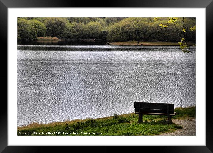 Siting by the lake Framed Mounted Print by Alexia Miles