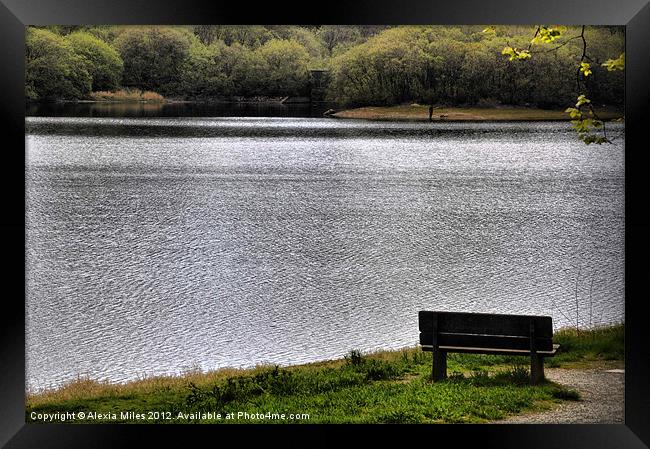 Siting by the lake Framed Print by Alexia Miles