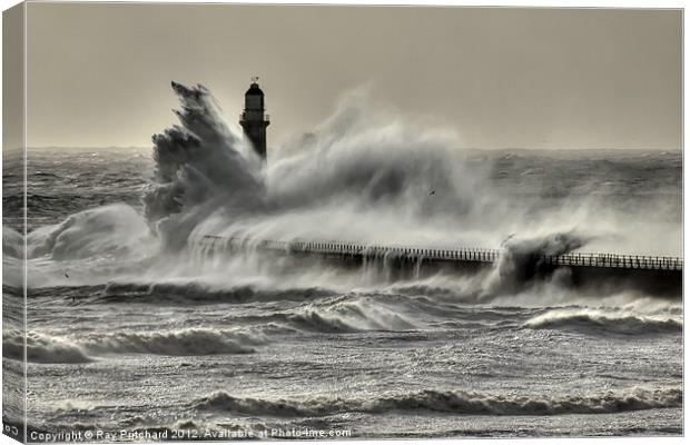 Wild Roker II Canvas Print by Ray Pritchard