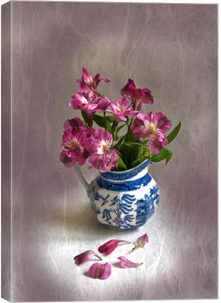 Pink Flowers and Blue Jug Canvas Print by Jacqi Elmslie