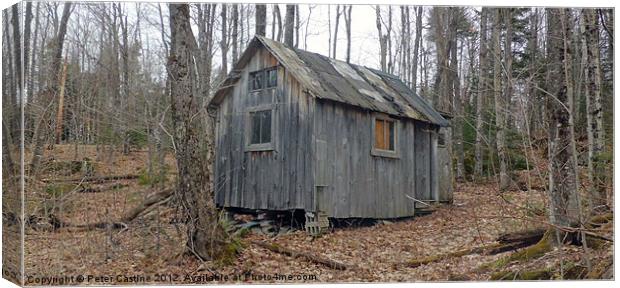 Abandoned Camp in Spring Canvas Print by Peter Castine