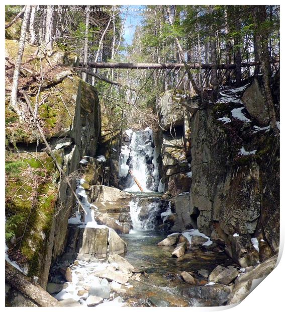 Baby Flume Dixville Notch Print by Peter Castine