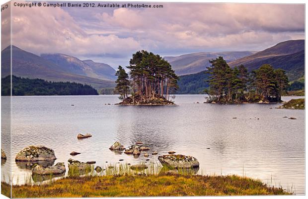 Loch Ossian Canvas Print by Campbell Barrie