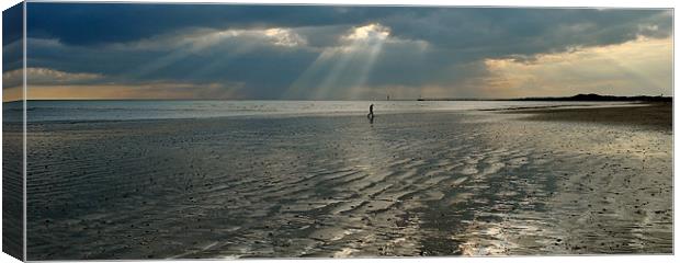 Alone on the Beach Canvas Print by graham young