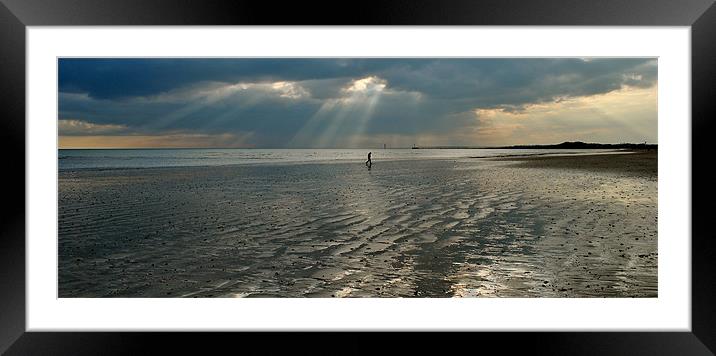 Alone on the Beach Framed Mounted Print by graham young