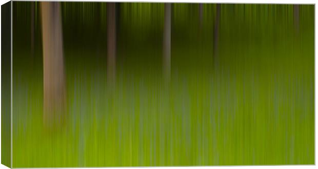 Bluebells Abstract. Canvas Print by paul cowles