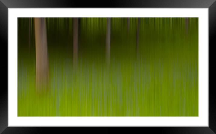 Bluebells Abstract. Framed Mounted Print by paul cowles
