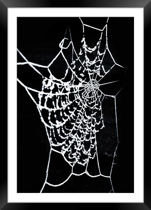Cobwebs Framed Mounted Print by paul cowles