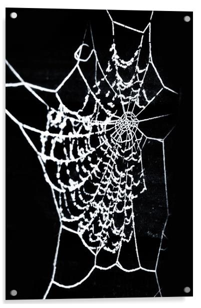 Cobwebs Acrylic by paul cowles
