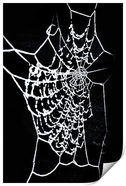 Cobwebs Print by paul cowles