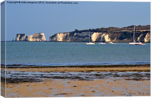 Old harry rock Canvas Print by mike wingrove