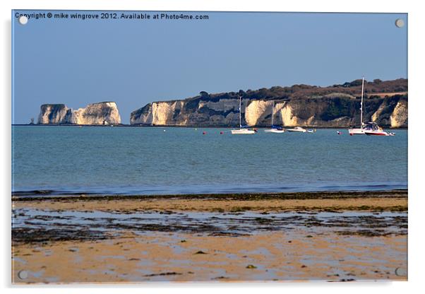 Old harry rock Acrylic by mike wingrove