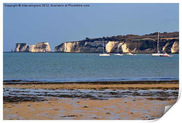 Old harry rock Print by mike wingrove