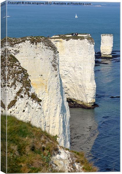 Old Harry Canvas Print by mike wingrove