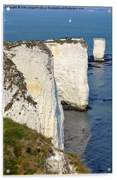 Old Harry Acrylic by mike wingrove